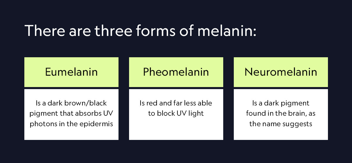 Three forms of melanin